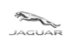 Jaguar légrugó